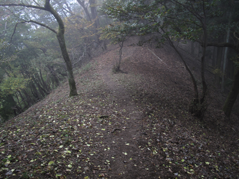 20151021hike (289)
